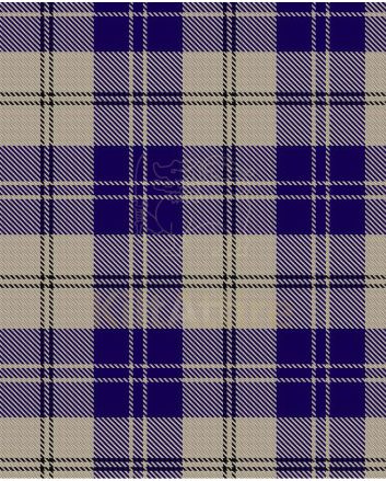 Ailsa Dress Navy Modern Tartan Kilt