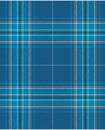 Albany Tartan Kilt