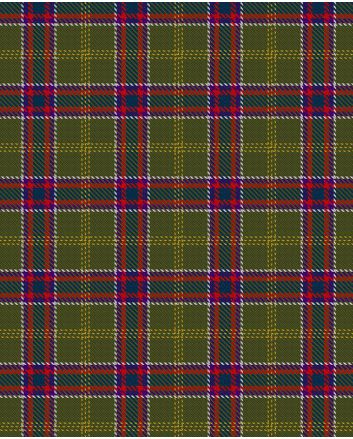 Bards, Ovates and Druids Tartan Kilt