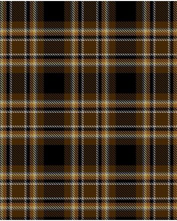 Bear Pride Tartan Kilt