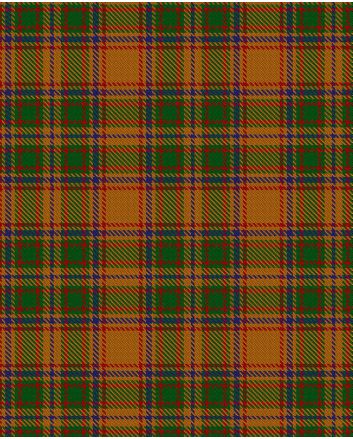 Bird of Paradise Modern Tartan Kilt