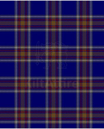 Blue Rust Modern Tartan Kilt 