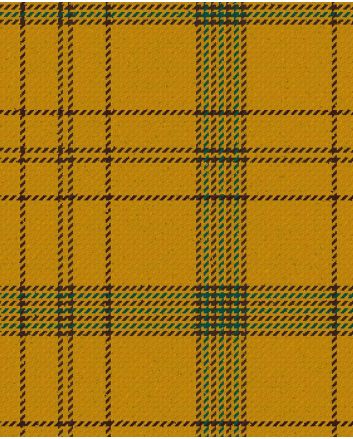 Clan Houston Modern Tartan Kilt