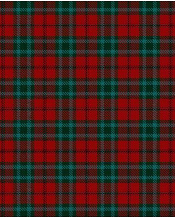 Cook Modern Tartan Kilt