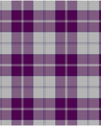 Dunlop Dress Modern Tartan Kilt