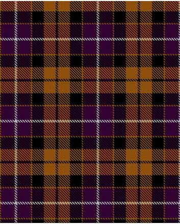 Dutch Modern Women Tartan Kilt 