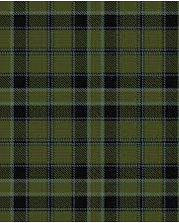 Clan Fort William Tartan Kilt