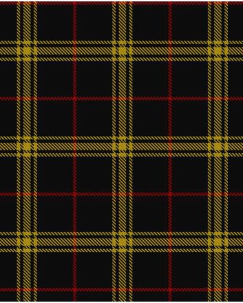 Gwynn Modern Tartan Kilt