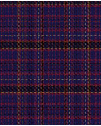 James of Wales Modern Tartan Kilt