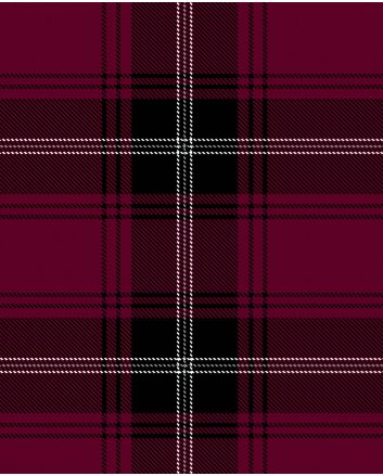 Llewellyn of Wales Modern Tartan Kilt