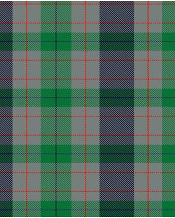Lloyd of Wales Modern Tartan Kilt