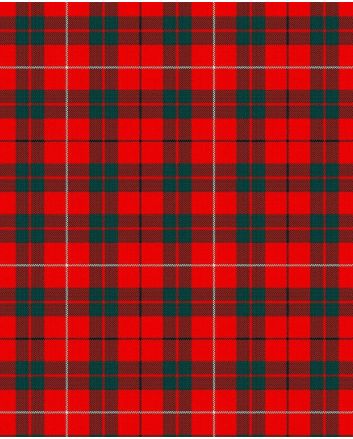 Mackinnon 1842 Variant Modern Tartan Kilt