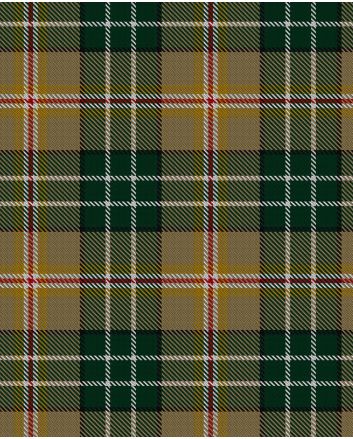 MacShane Family Tartan Kilt