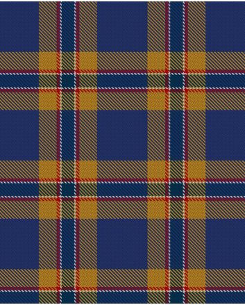 McCann Modern Tartan Kilt