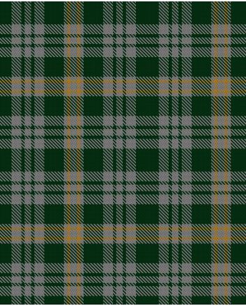 Twisted Kilt Society Tartan Kilt