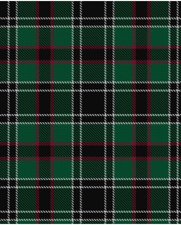 Wild Highlanders Tartan Kilt