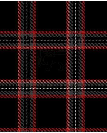 Witchcraft/ Witches of Scotland Tartan Kilt