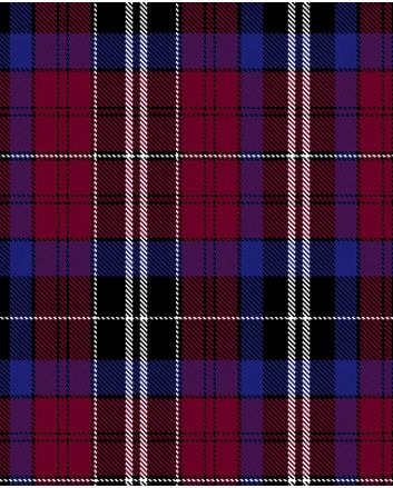 Wynn of Wales (Gwyn of Wales) Modern Tartan Kilt