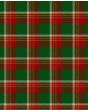 Artefact Modern Tartan Kilt Fabric