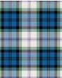 Baird Dress Dance Modern Tartan Kilt Fabric