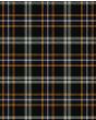 Braddock Family Tartan Kilt Fabric