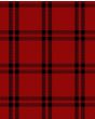 Buie Modern Tartan Kilt Fabric