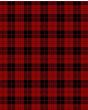 Campbell Of Armaddie Modern Tartan Kilt Fabric