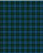 Campbell Of Glenlyon Modern Tartan Kilt Fabric