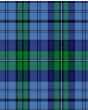 Ellis of Wales Modern Tartan Kilt Fabric