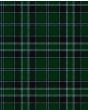 Fort William Modern Tartan Kilt Fabric