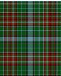 Gayre Modern Tartan Kilt Fabric