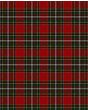 Gillespie(Gillaspy) Modern Tartan Kilt Fabric