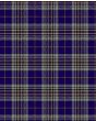 Hanna of Stirlingshire Modern Tartan Kilt Fabric