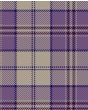 
Highland Dancer Harris Lilac Modern Tartan Kilt Fabric
