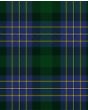 Hughes Tartan Kilt Fabric