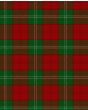 Lennox Modern Tartan Kilt Fabric