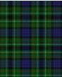 Lloyd Modern Tartan Kilt Fabric