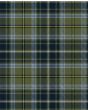 MacBean Hunting Tartan Kilt Fabric