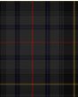 MacInnes Homecoming Tartan Kilt Fabric