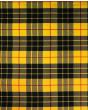 MacLeod of Lewis Modern Tartan Kilt