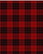 MacLeod of Raasay Modern Tartan Kilt Fabric