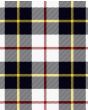 MacRae of Conchra Dress Modern Tartan Kilt Fabric