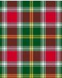 Portuguese Tartan Kilt