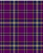 Regan Modern Tartan Kilt Fabric