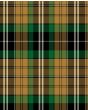 Vaughan of Wales Family Tartan Kilt Fabric